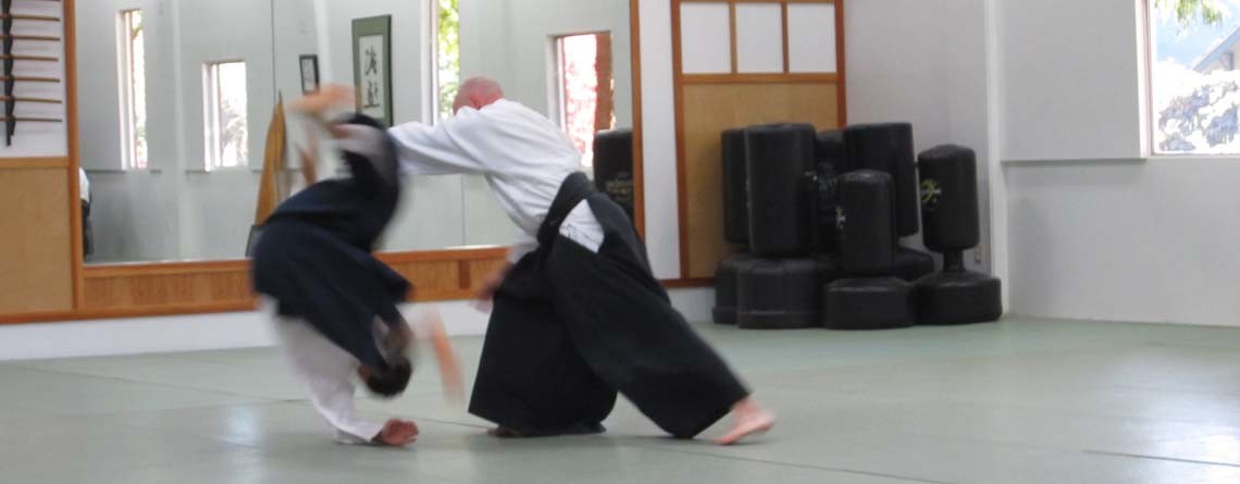 Aikido Lessons in Eugene