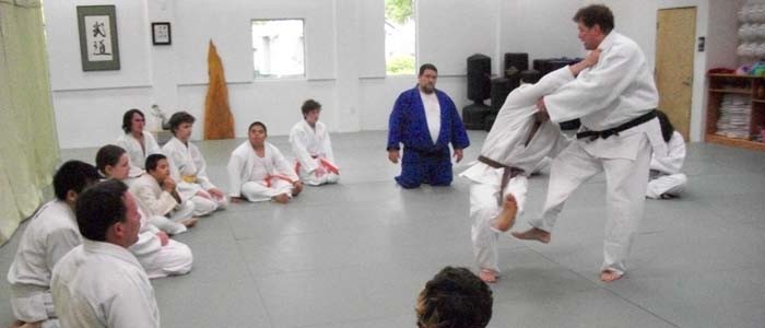 Judo class watching demo