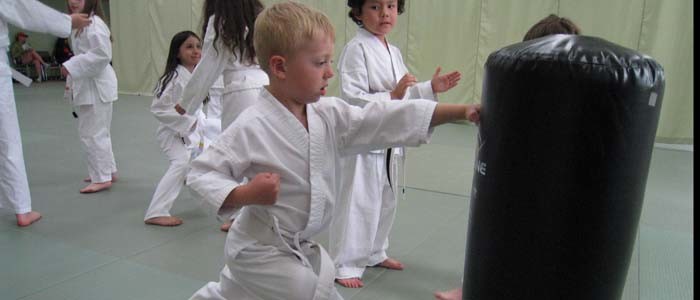 Karate kid punching shield- Children's martial arts