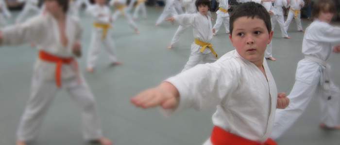 Kids Karate Best Martial Arts Institute